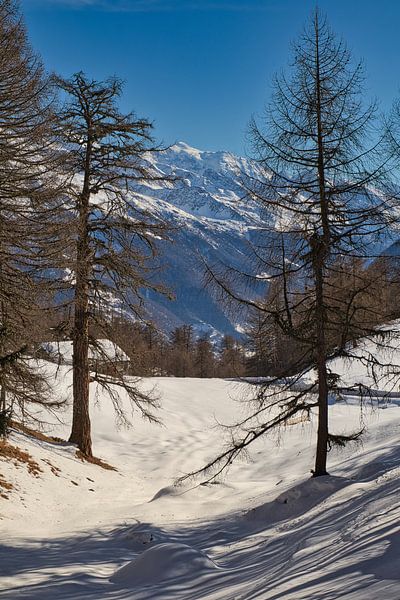 En route pour la montagne par Raphael Kipfer
