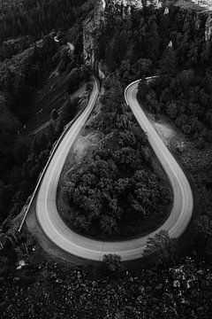 Road through the forest