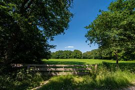 Typical Dutch Landscape with farmland.