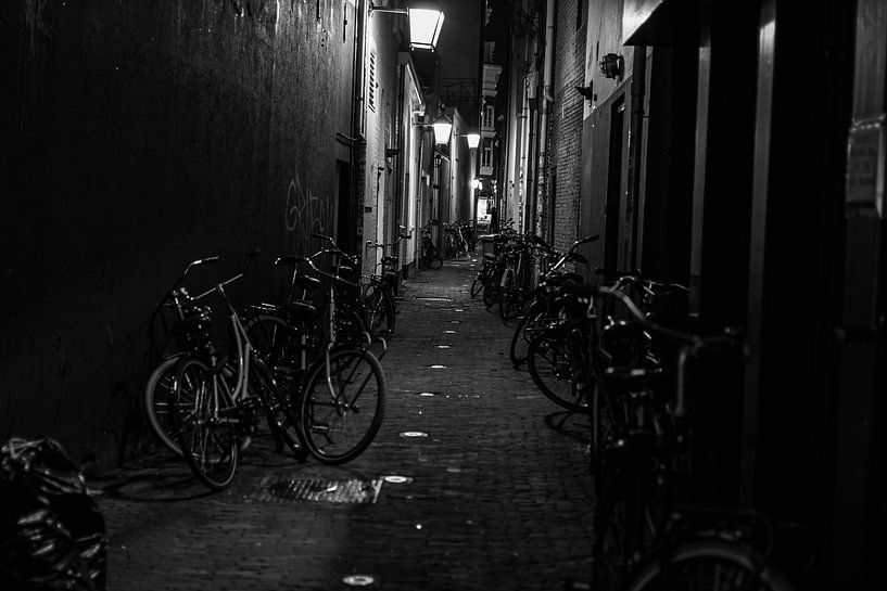 Steeg met fietsen in Utrecht van Bart van Lier