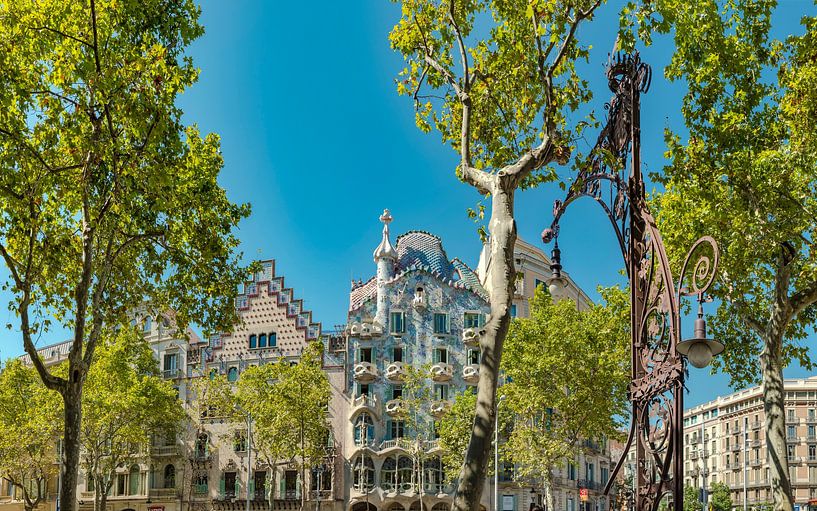 Casa Batlló de Gaudi, Barcelone par Rene van der Meer
