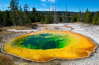 Morning Glory Pool at Yellowstone NP
