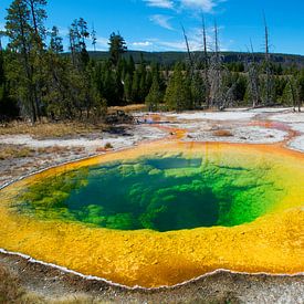 Morning Glory Pool in Yellowstone NP von René Roelofsen