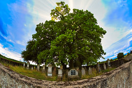 Cimetière juif de Waldwisse sur Andreas Biwersi