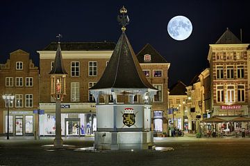Den Bosch met volle maan
