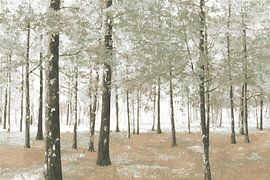 Wo Bäume in Grautönen flüstern