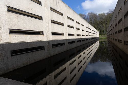 Wasserspiegelnde Betonstruktur