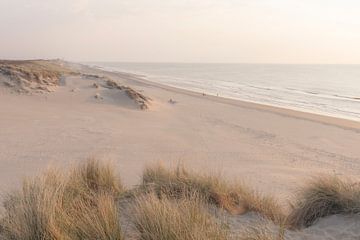 Lueur chaude sur les dunes de la plage | photographie de voyage imprimée | Pays-Bas