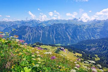 Alpenpanorama - Blick vom Fellhorn zum Allgäuer Hauptkamm von Gisela Scheffbuch