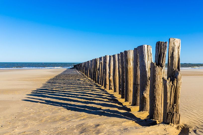 Beach posts by Dotwood