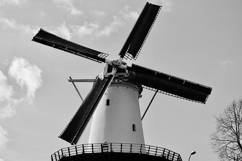 Moulin l'espoir