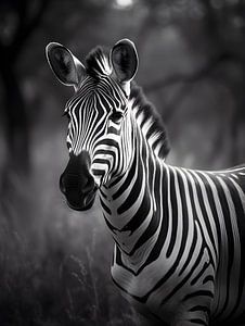 Zebra-Porträt in zeitloser Schwarzweiß-Eleganz