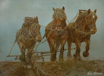 Walcheren plough horses by Wim Romijn