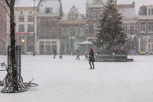 Sneeuw op het Hof in Amersfoort