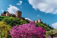 Flower castle
