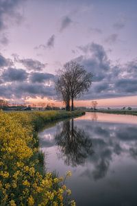 Weerspiegeling van Moetwil en van Dijk - Fotografie