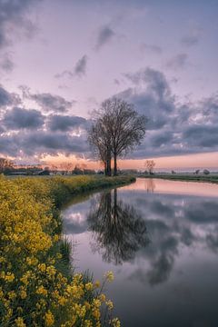 Reflexion von Moetwil en van Dijk - Fotografie