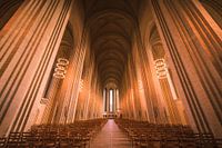 Grundtvigskirke in Copenhagen, Denemarken.