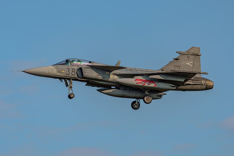 Saab JAS39 Gripen of the Hungarian Air Force. by Jaap van den Berg