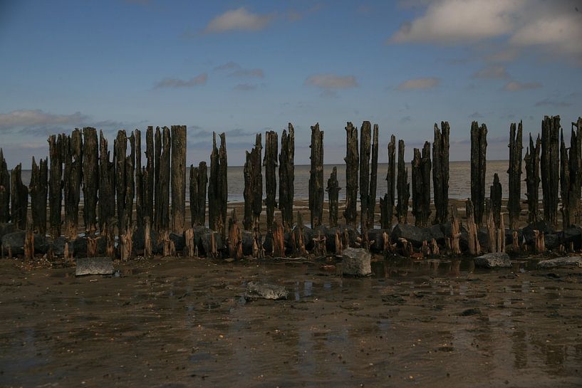 Wattenmeer von Eric Verhoeven