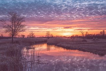 De Wieden bij zonsondergang van Jan Willem Oldenbeuving