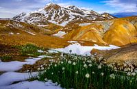 Bunte Berge in Kerlingarfjöll Island mit Schneeglöckchen im Vordergrund