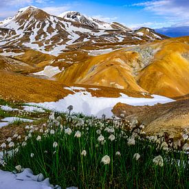 Colourful mountains in Kerlingarfjöll Iceland with snowdrops in the foreground by Kevin Pluk