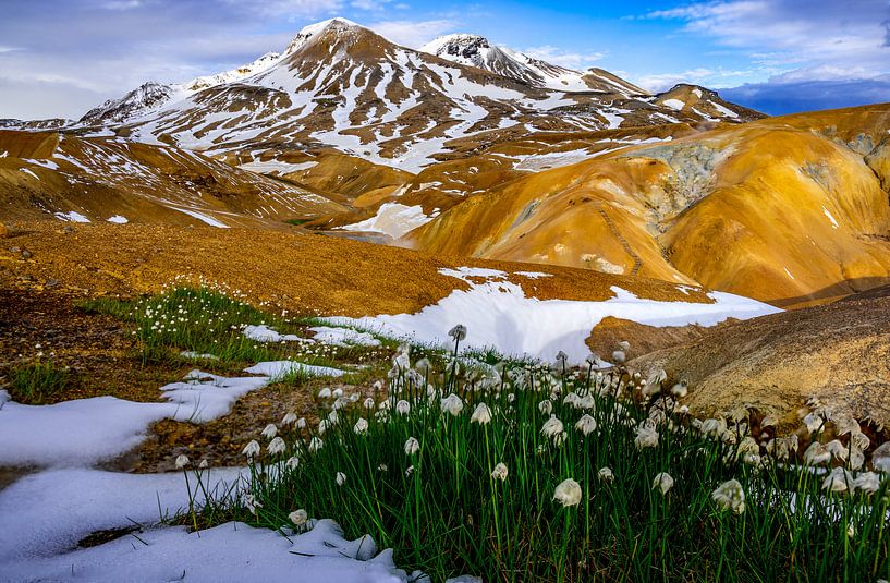 Bunte Berge in Kerlingarfjöll Island mit Schneeglöckchen im Vordergrund von Kevin Pluk