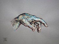 Hand (van Adam)