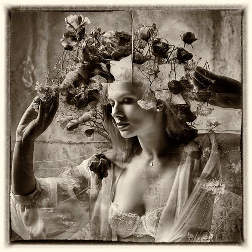 Anastasiia – Blumen-Kunst