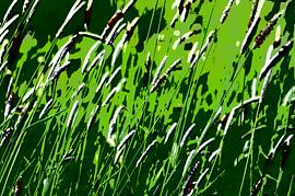 Green Grass van De Rover