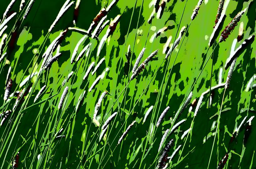 Green Grass par De Rover