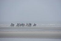 Horsemen on the Beach