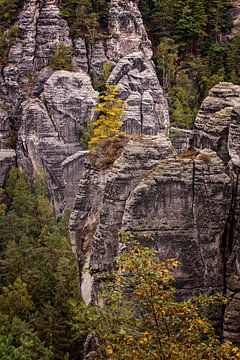 Bastei by Rob Boon