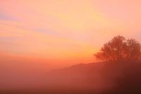 Colourful start to the day