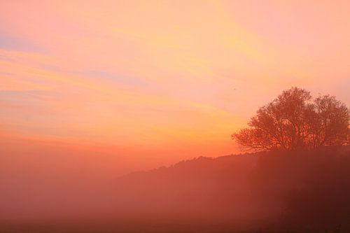 Début de journée coloré