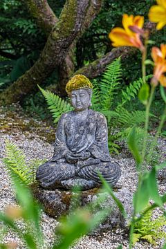 Silence between flower and fern