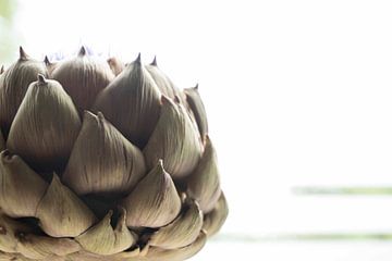 Artichoke by hetty'sfotografie