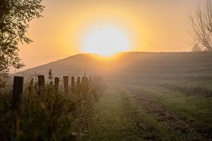 hier kommt die Sonne