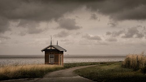 Hollands landschap