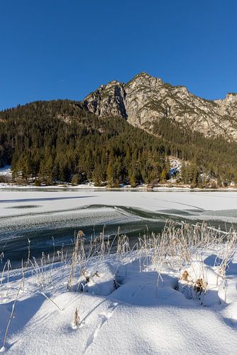 Idylle hivernale au lac de Heiterwangen