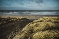 Duin en strand aan zee van Dirk van Egmond thumbnail