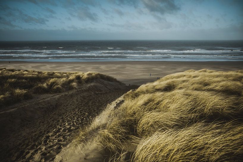 Duin en strand aan zee van Dirk van Egmond
