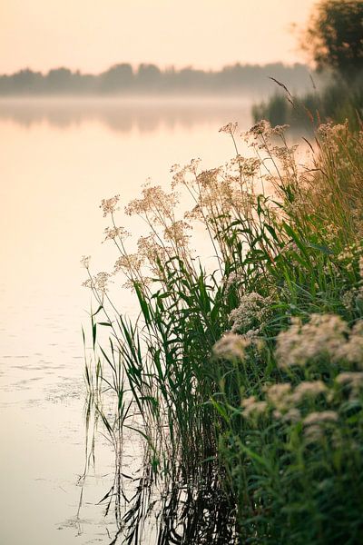 Morgendämmerung am Ufer von Poster Art Shop