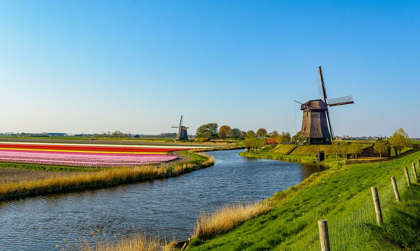 Mills at the canal in Schermerhorn by Arno Prijs