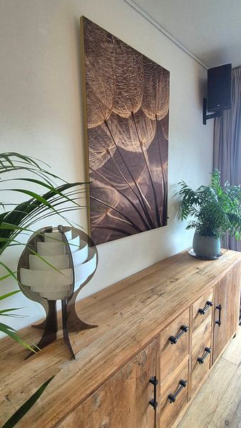Customer photo: Warm shades of brown: Light falls on fluff of a Tragopogon (Morning Star) by Marjolijn van den Berg, on ArtFrame