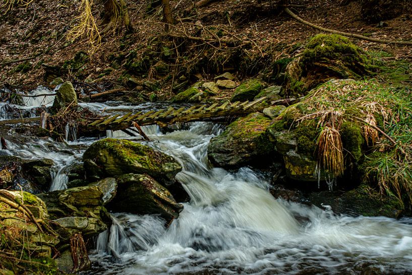 Natuur en landschap in het Erzgebergte van Johnny Flash