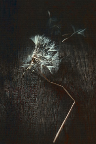 Resolution