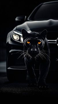 Nachtjäger von John Dan