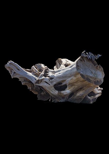 Floating tree stump (2) by www.narro-imago.nl